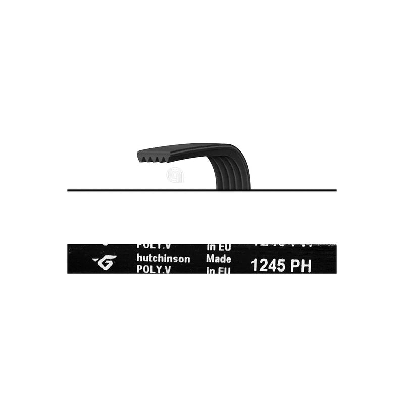 UNIVERSALE - Cinghia di trasmissione Poly-V H5 1245 Lavatrice - 1245H5
