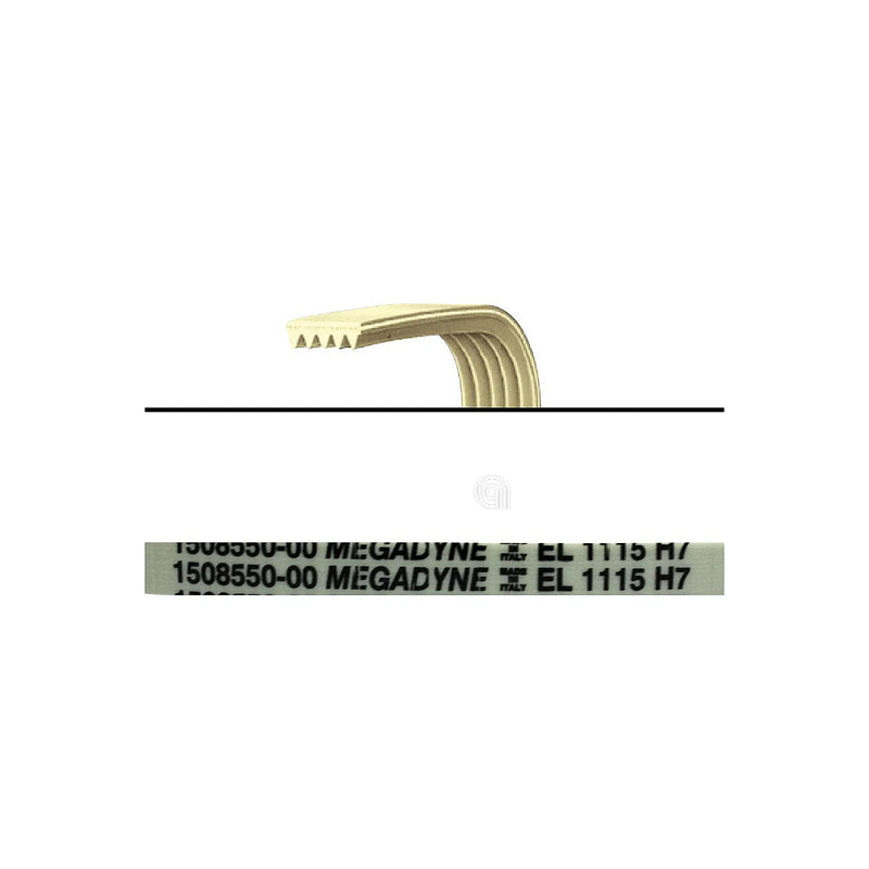 ELECTROLUX, REX, ZANUSSI, PRIVILEG, ZANKER, UNIVERSALE - Cinghia per lavatrice 1115 H7 - 1508550009