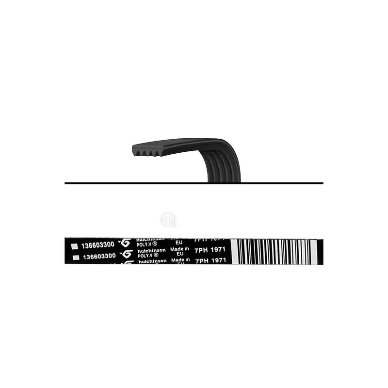 ELECTROLUX AEG - Cinghia Poly-V 1971 H7 Asciugatrice - 1366033007