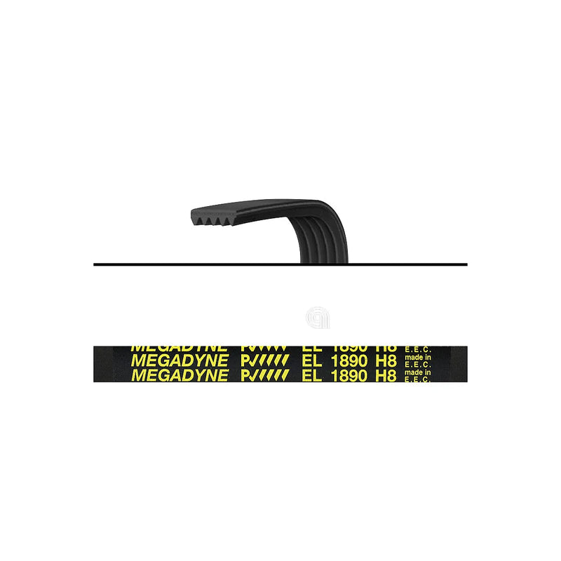 CANDY HOOVER ZEROWATT - Cinghia Poly-V Elastico 1890 H8 Lavatrice - 06012725