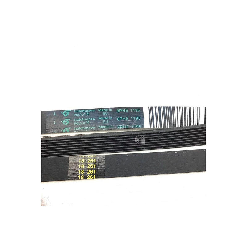 Cinghia H8 1195 Poly-V per lavatrice Whirlpool e altre marche