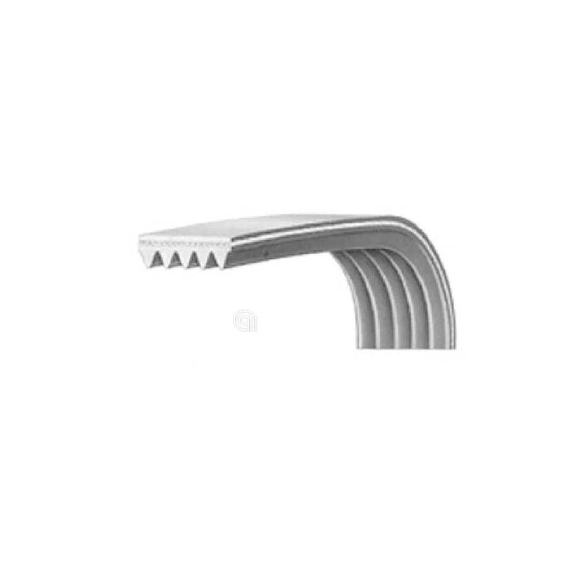 BOSCH SIEMENS BALAY - Cinghia di Trasmissione Poly-V Elastica J5 1189 - 00660579