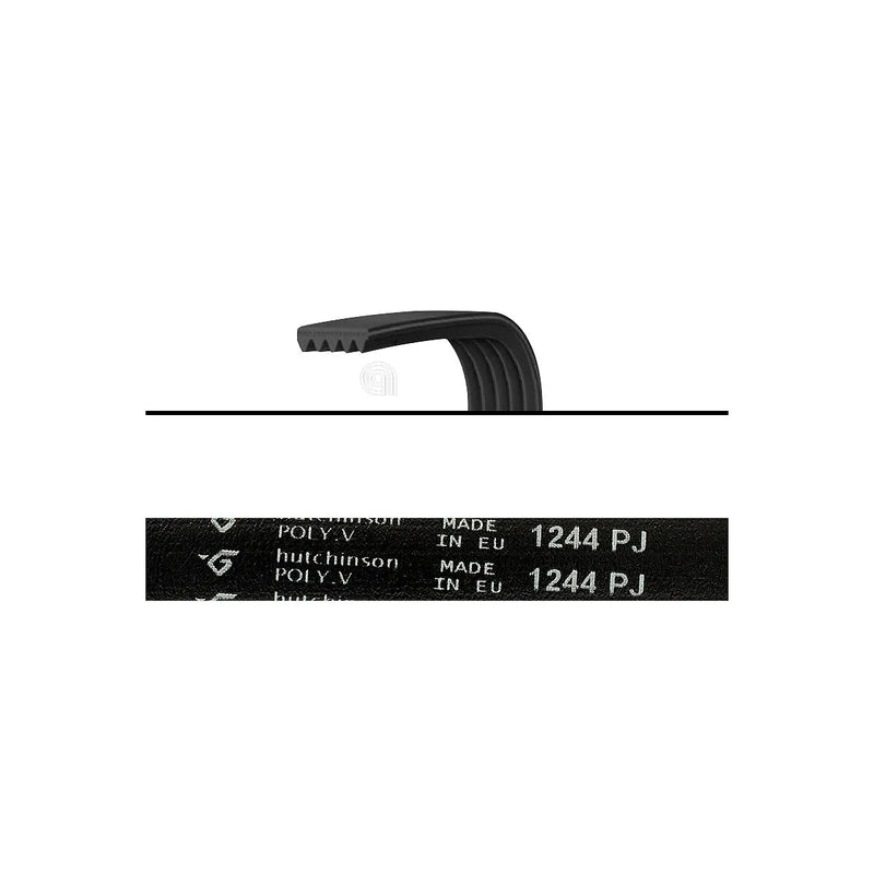 WHIRLPOOL, INDESIT, GORENJE - Cinghia Poly-V J5 per Lavatrice - 1244J5