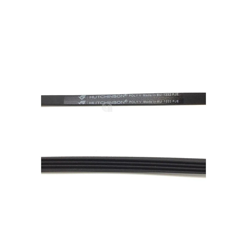 ELECTROLUX, ZANUSSI, BRANDT, FAGOR - Cinghia per lavatrice - 1290775806