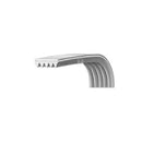 BEKO - Cinghia di Trasmissione Poly-V 1244 J5 Lavatrice - 2466300201