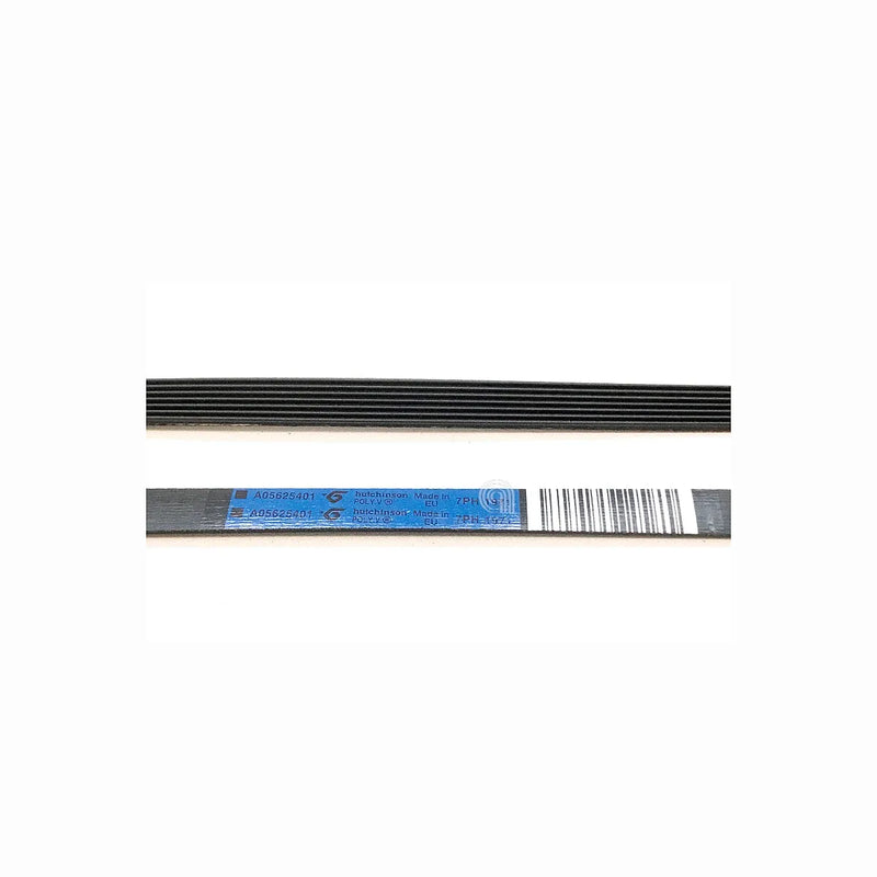 Cinghia H7 1971 Poly-V per asciugatrice Electrolux originale