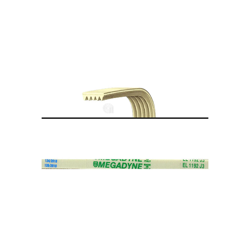 AEG ZANUSSI REX - Cinghia di ricambio per lavatrice - AST-00126451