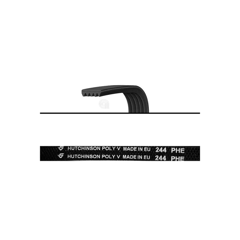 WHIRLPOOL, INDESIT - Cinghia asciugatrice Poly-V H4 244 - 480112101253