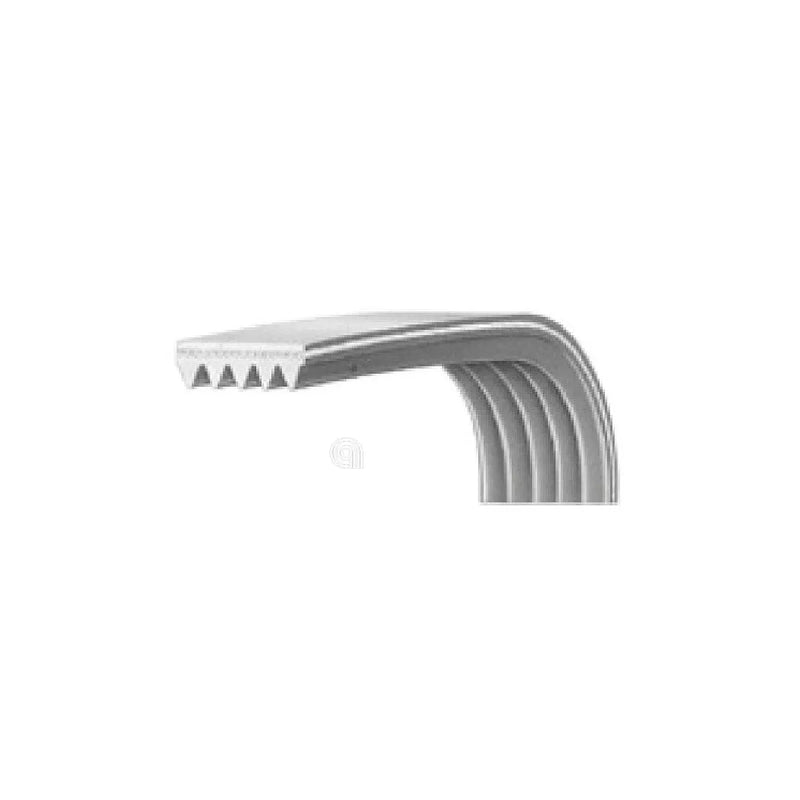 BEKO - Cinghia di Trasmissione per Asciugatrice - 491500302