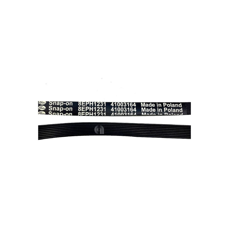 Cinghia H8 1231 Poly-V originale per lavatrici Candy e compatibili