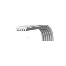 cintura poly-v h6 1227 per lavatrice Bompani e Vestel originale