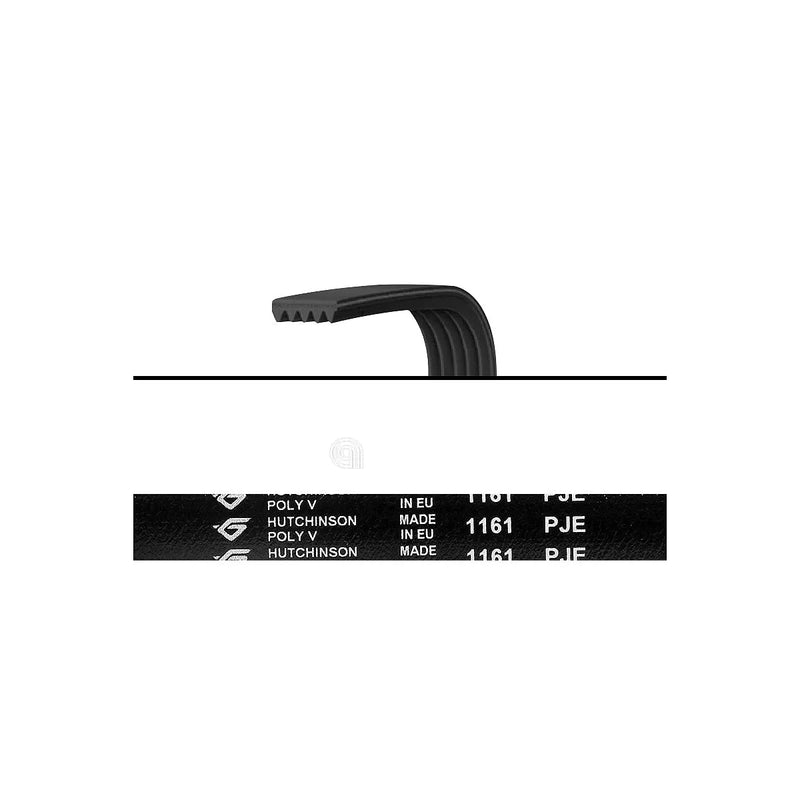 BRANDT, FAGOR, THOMSON - Cinghia Elastico Lavatrice - 1161J5EL