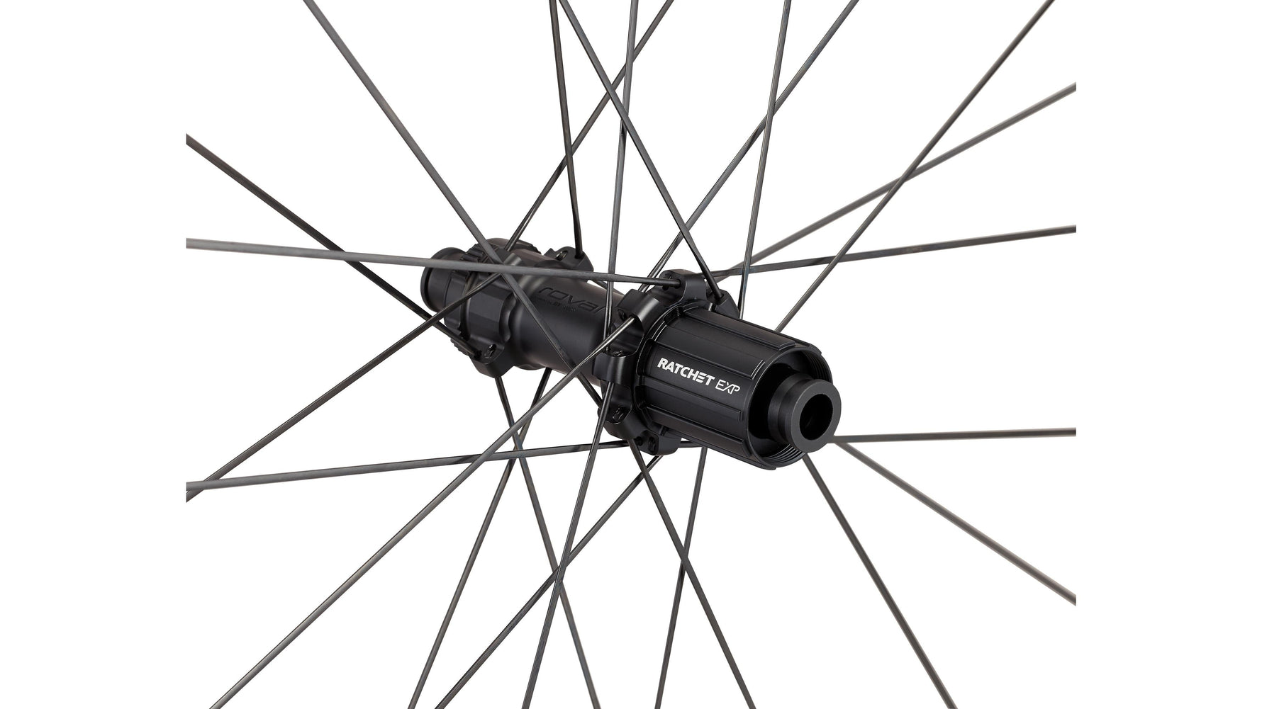 Specialized Roval Terra CLX rear wheel hub closeup showing Ratchet EXP freehub in satin black