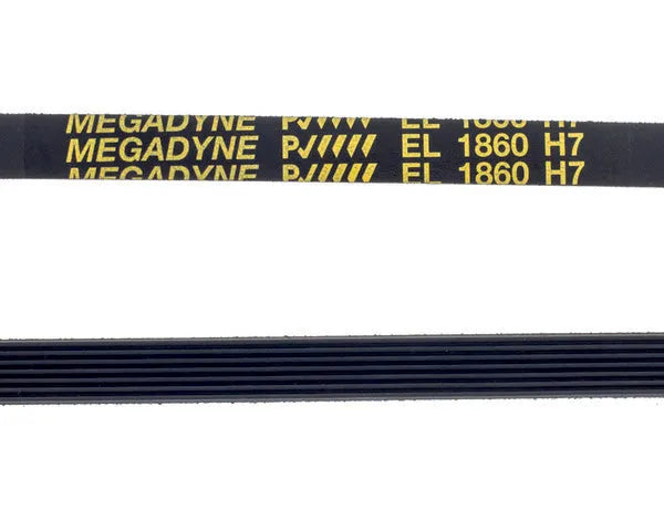 MEGADYNE cinghia lavatrice scanalata 1860 H-7
