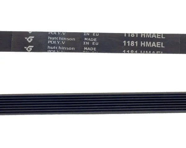 Cinghia per lavatrice scanalata 1181 h-8