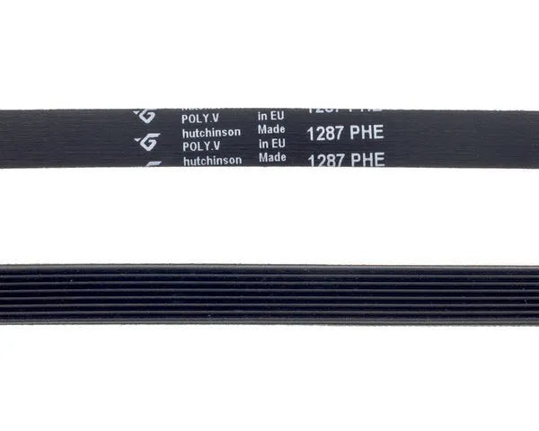 HUTCHINSON cinghia lavatrice scanalata 1287 h-8 | 481281728277