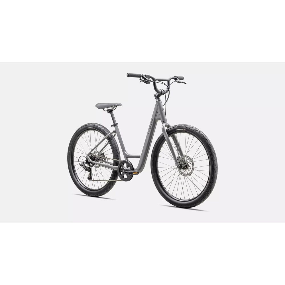 Specialized ROLL 2.0 LOW ENTRY CLGRY/SMK Small