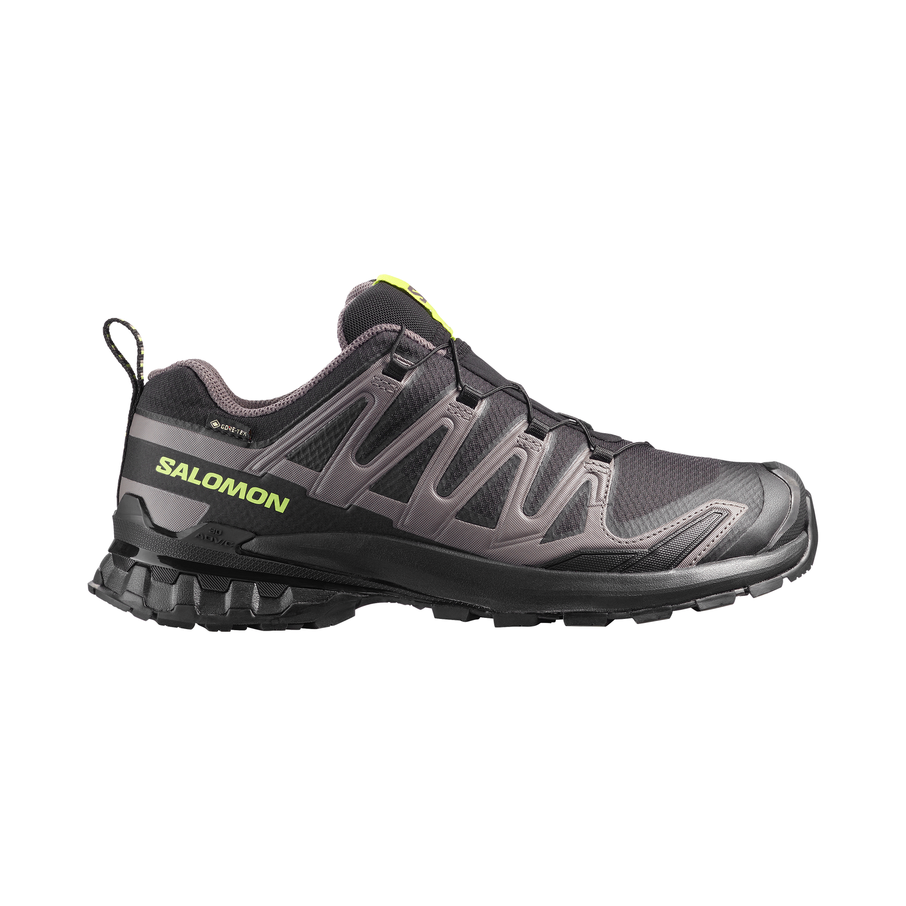 Salomon XA Pro 3D v9 GTX men's trail running shoe in grey and black