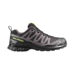 Salomon XA Pro 3D v9 GTX men's trail running shoe in black and gray