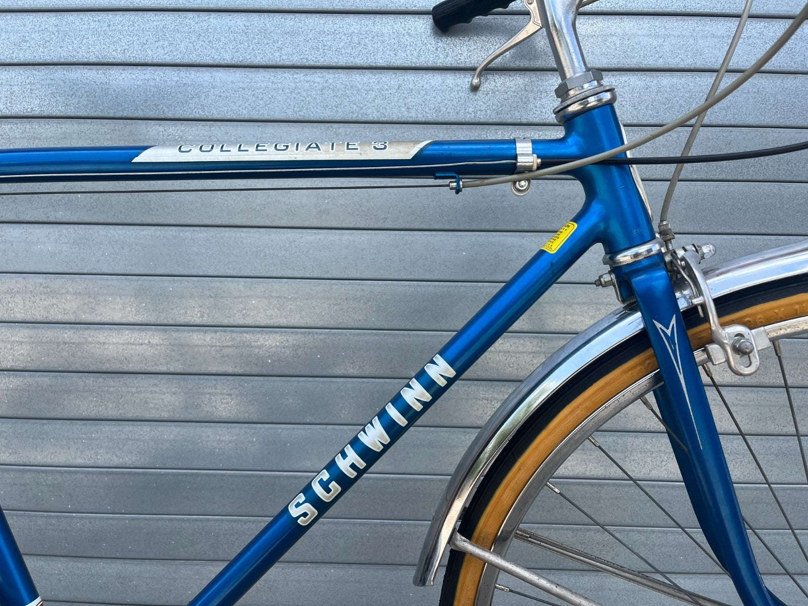 Rust damage near left rear chainstay and dropout area on 1985 Schwinn Collegiate
