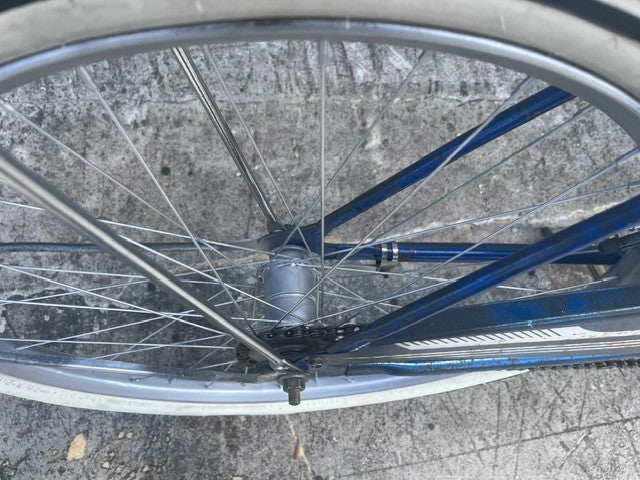 Coaster brake rear hub and 26 inch wheel on vintage Ross cruiser
