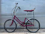 Original Stardust chain guard with worn graphics on 1971 Schwinn bicycle