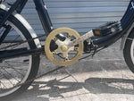 Rear cargo rack and fenders on Schwinn Loop S2280B folding bike