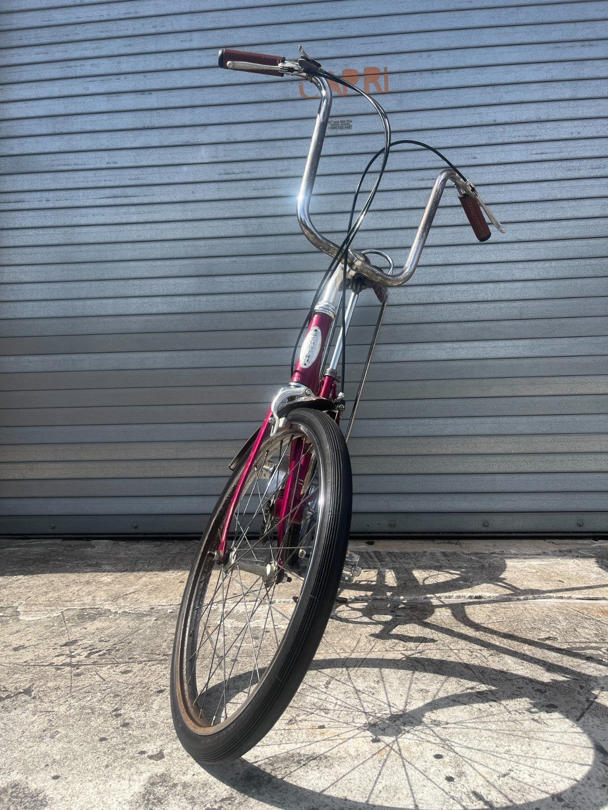 Schwinn head badge and original paint on 1971 Stardust vintage bike