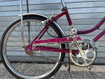 Sissy bar and chrome fender detail on 1971 Schwinn Stardust survivor bike