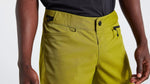 TRAIL SHORT W/LINER MEN WDBN 30